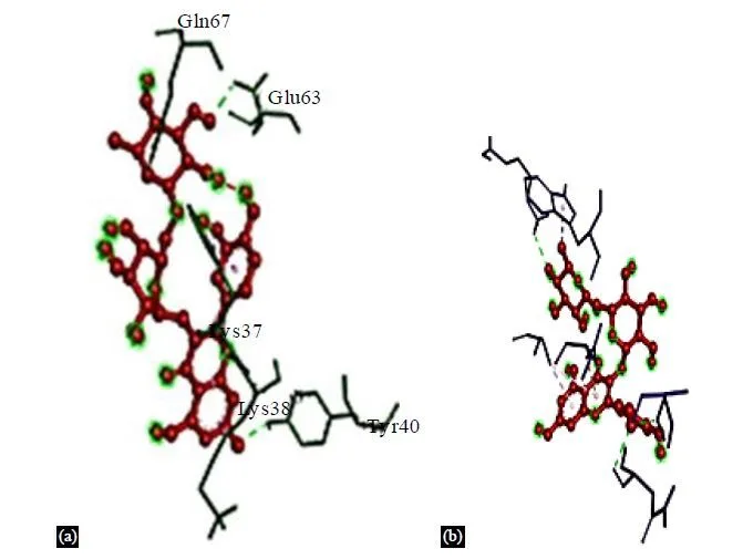 Integrating Network Pharmacology and Molecular Docking to Assess Rutin’s Pharmacological Properties 12 figures