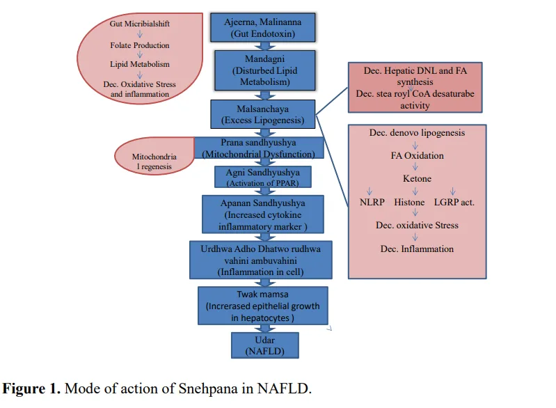 Effect of Snehpana (Lipid Based Drug Delivery System) with Shatpala Ghrit in Non-Alcholic Fatty Liver Diseases 2 figures
