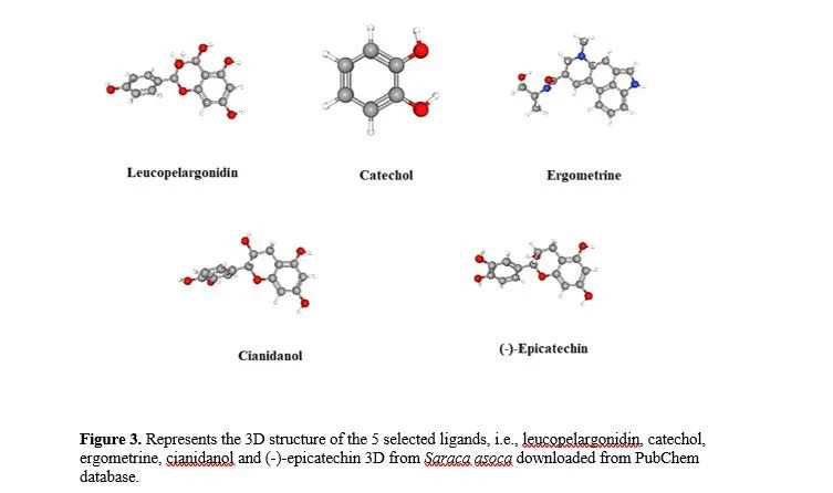 Molecular Docking of Saraca asoca (Ashoka) Phytocompounds for Ovarian Cancer Therapy 4 figures