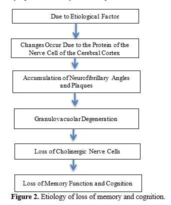 Neurodegeneration and Cognitive Decline: Causes, Consequences, and Treatment Approaches 3 figures