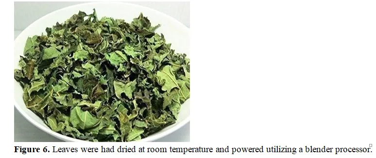 Hydro-alcoholic Extract of Herbal Formulation and Evaluation of Papaya leaf And Orange Peel for treatment of Dengue Fever 7 figures