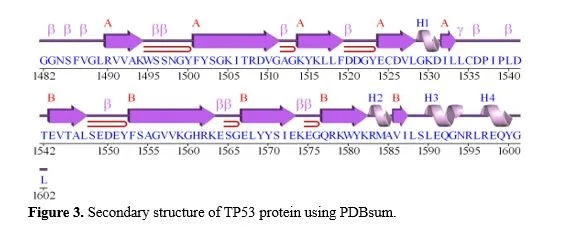 In Silico Exploration of Podophyllum Hexandrum-Derived Phytocompounds as Potential Therapeutics Against Small Cell Lung Cancer (SCLC): A Molecular Docking Approach 4 figures