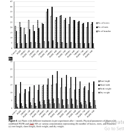Stimulation of Plant Growth Promoting Rhizobacteria with ZnO Nanoparticles to Improve Growth and Development of Groundnut Plants (Arachis Hypogaea L.) 9 figures