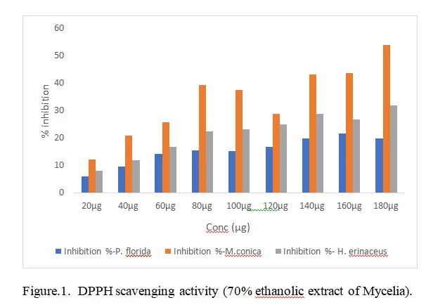 Evaluation of Antioxidant and Cytotoxic activities of Mycelia Biomass and Culture broth of three Edible Mushrooms, Morchella conica, Hericium erinaceus and Pleurotus florida Grown in Submerged Culture 2 figures