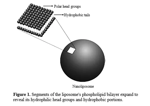 Green Synthesis of Copper Nanoparticle for the Treatment of Neurodegenerative Disease 2 figures