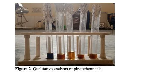 Study on Extraction and Purification of Phytochemicals from Eichhornia Crassipes Leaves 3 figures