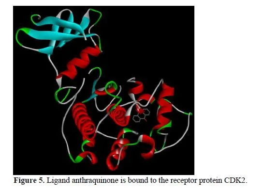 Anticancer Activity of Calotropis procera by Molecular Docking Analysis 6 figures