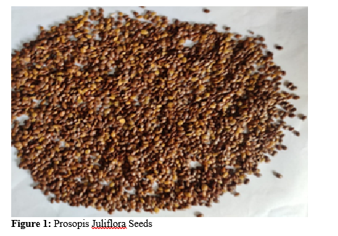 An experimental investigation of Prosopis Juliflora Biodiesel's performance and emission characteristics 2 figures