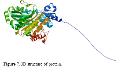 InSilico Analysis and Homology Modeling of Tetrahydroprotoberberine Oxide involved in the Berberine Biosynthesis 8 figures