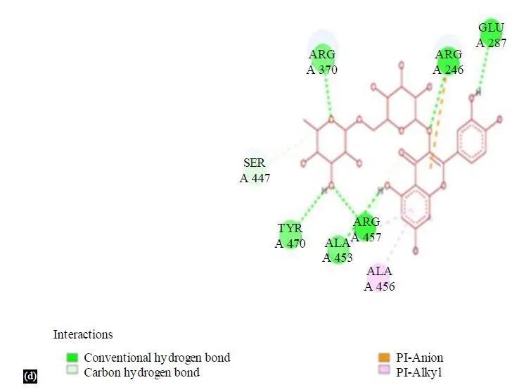 Integrating Network Pharmacology and Molecular Docking to Assess Rutin’s Pharmacological Properties 10 figures