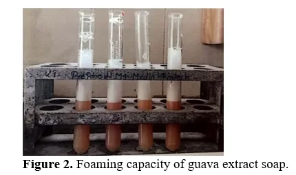 Evaluation of Bio-Based Polymer Composites Containing Guava Leaf Extract for Antimicrobial Functionality 3 figures