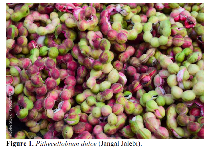 A Systemic Review: Pithecellobium dulce (Jangal Jalebi) 2 figures