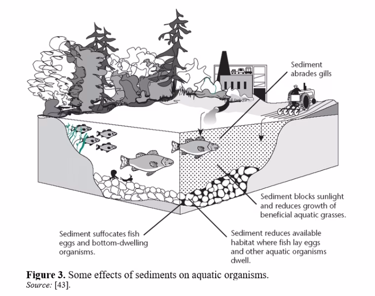 The Role of Sediments in the Survival of Benthic Organisms 4 figures
