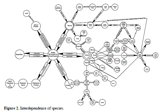 Species Interdependence and Biodiversity 3 figures
