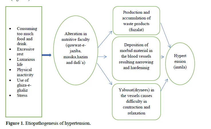 Prevention of Primary Hypertension Through Asbab-e-Sitta Zaruriya: A Therapeutic Paradigm 2 figures