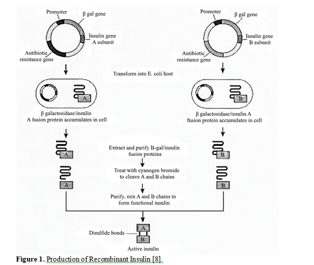 Recombinant Insulin 2 figures