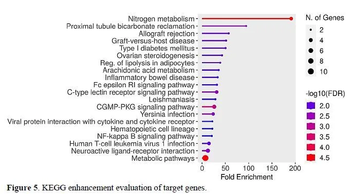 Integrating Network Pharmacology and Molecular Docking to Assess Rutin’s Pharmacological Properties 6 figures