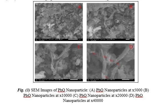 Latent Fingerprint Development via Green Synthesis of PbO Nanoparticles Using Helianthus (Sunflower) Extract 4 figures