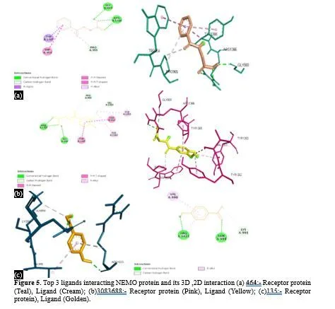 Molecular Pharmacokinetics and Structural Docking of Phenolic Acids for Targeting NF-κB Pathway Components in Inflammation and Fibrosis: A Computational Approach Toward Therapeutic Discovery 7 figures