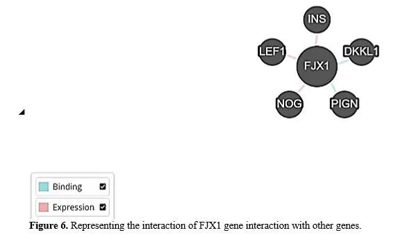 Gene Annotation of Cancer Vaccine for Homo sapiens 7 figures