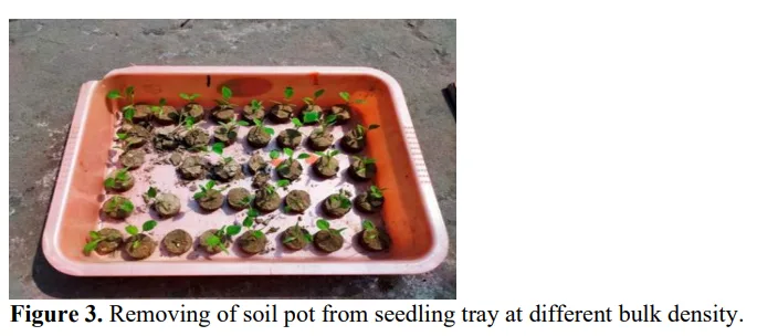 Optimization of Bulk Density and Moisture Content in Different Stages of Plantation for the Single Row Manually Operated Vegetable Transplanter for Brinjal and Chilli. 4 figures