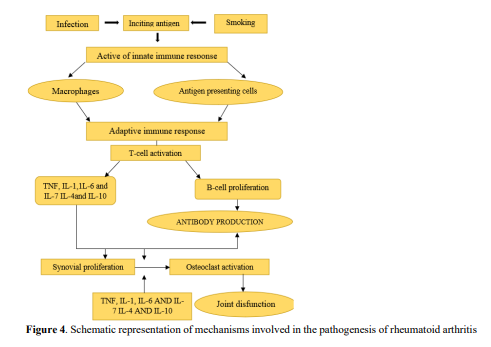 DMARDs, Biologic Agents and Novel Experimental Strategies in The Treatment of Rheumatoid Arthritis 5 figures