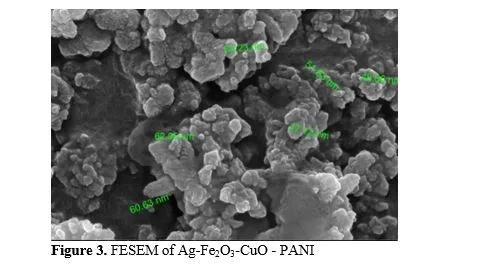 Green synthesis of Ag-Fe2O3-CuO-PANI nanocomposite and its application as an Apple Vinegar sensor 4 figures