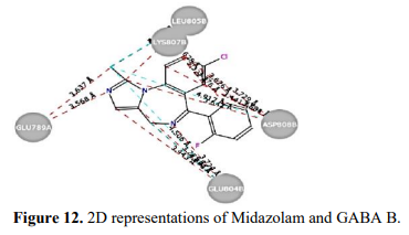 Molecular Docking studies of Benzodiazepine Derivatives With GABA(B) Receptor 13 figures