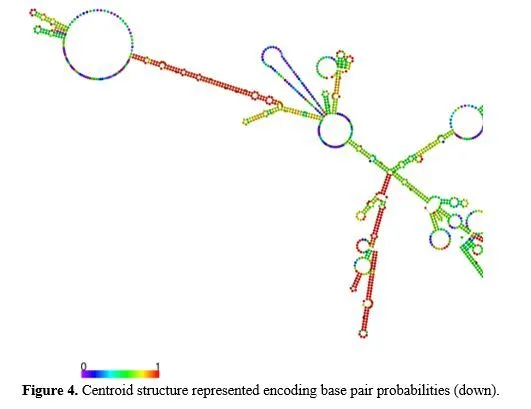 Gene Annotation of Cancer Vaccine for Homo sapiens 5 figures