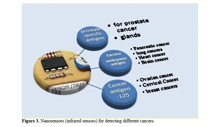 Magnetic ZnxFe2–xO3 Nanoparticles Enhanced Nanobiosensor Integrated with MOSFETs for Efficient Detections of Biomolecules and Cancerous Cells 4 figures