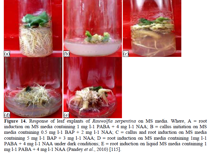 Rauwolfia serpentina: A Comprehensive Phytochemical Study of its Bioactive Metabolites 15 figures