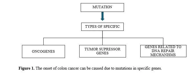 Harnessing Nature: Formulations for Colon Cancer Prevention and Treatment 2 figures