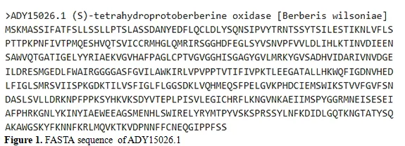 InSilico Analysis and Homology Modeling of Tetrahydroprotoberberine Oxide involved in the Berberine Biosynthesis 2 figures