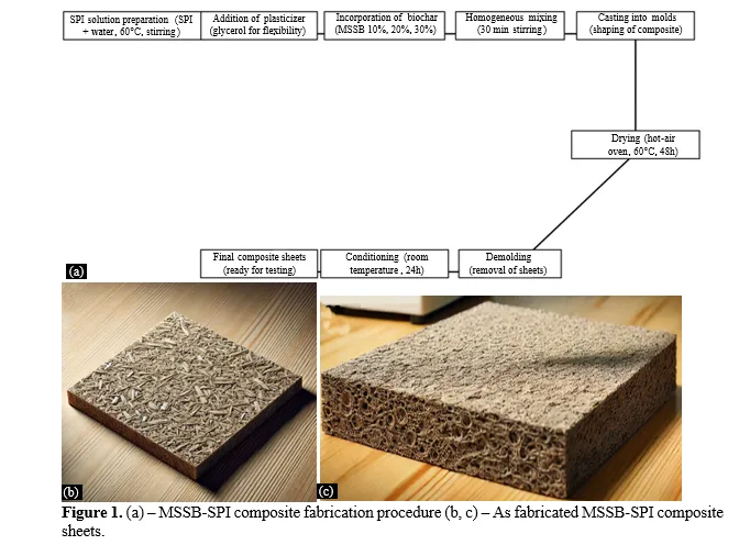 Biochar-Filled Soy Protein Composites: Evaluating Thermal and Mechanical Properties for Sustainable Polymer Applications 2 figures