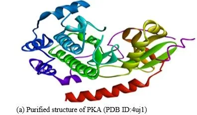 Anti-hyperglycemia Effects of Plant Secondary Metabolites Towards PKA/CREB Pathway Activation in Diabesity 2 figures