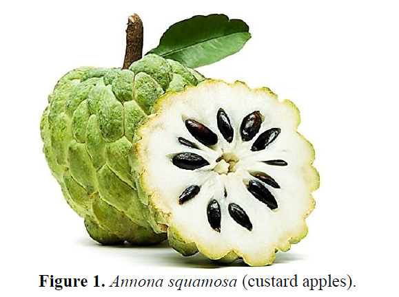 Formulation And Evaluation of Peel Off Mask From Custard Apple 2 figures