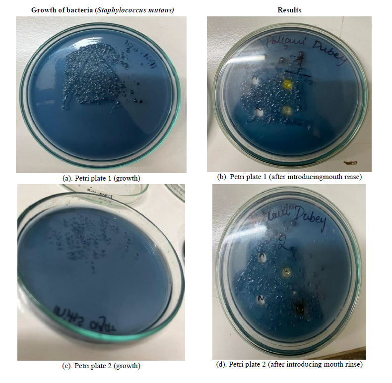 Development and Evaluation of Medicated Mouth Wash 7 figures