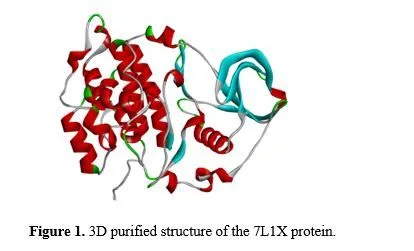 Exploring the Role of Ginkgo biloba in Investigating 7L1X in Triple-Negative Breast Cancer Through Integrative Bioinformatics 2 figures