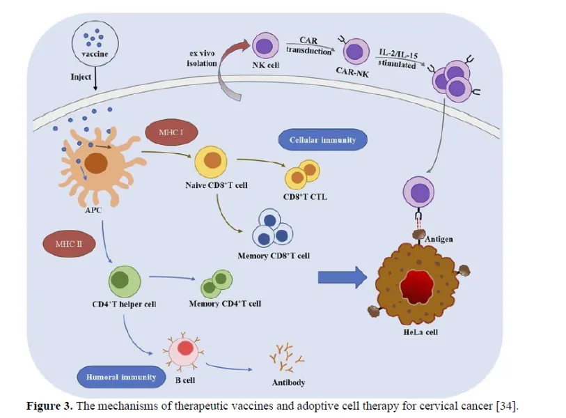 A Brief Review On Nanoparticles Drug Delivery System Used In Cervical Cancer 4 figures