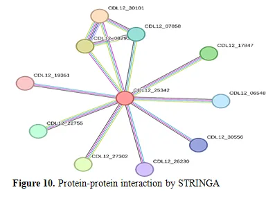 InSilico Analysis and Homology Modeling of Tetrahydroprotoberberine Oxide involved in the Berberine Biosynthesis 11 figures