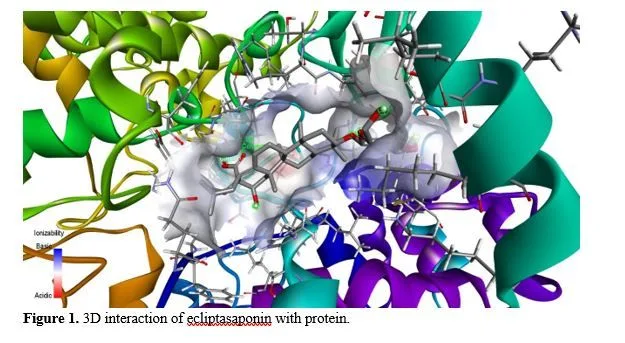 Computational Exploration of Bhrijraj-derived Phytochemicals as Potential Anti-inflammatory Agents: A Molecular Docking Study with Cyclooxygenase-II Complex 2 figures