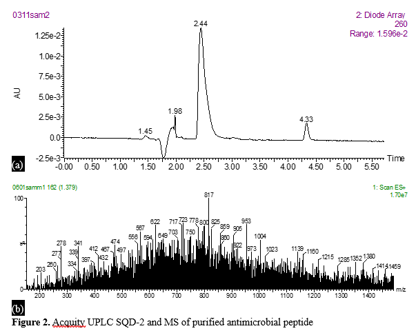Isolation, Purification and Characterization of Antimicrobial peptide produced by Saccharomyces boulardii №6569 3 figures