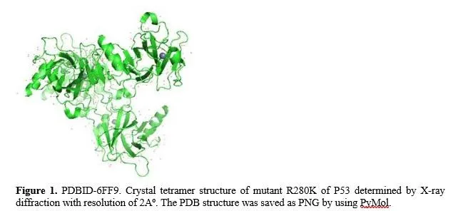 Molecular Docking Studies of Wildtype P53 with Damnacanthal and Scopoletin- Phytochemicals Derived from Morinda Citrifolia 2 figures
