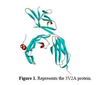 Molecular Docking of Saraca asoca (Ashoka) Phytocompounds for Ovarian Cancer Therapy 2 figures