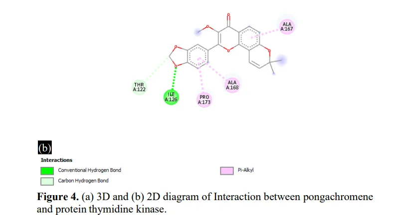 Exploring The Therapeutical Potential Of Pongamia Pinnata For Herpes Simplex Virus Type 1 (HSV-1) 6 figures