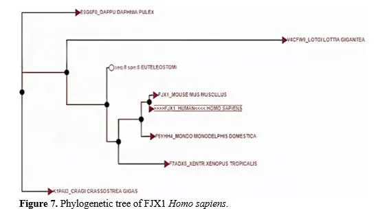 Gene Annotation of Cancer Vaccine for Homo sapiens 8 figures