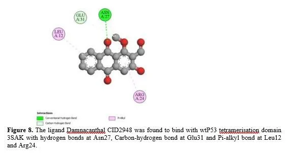 Molecular Docking Studies of Wildtype P53 with Damnacanthal and Scopoletin- Phytochemicals Derived from Morinda Citrifolia 9 figures