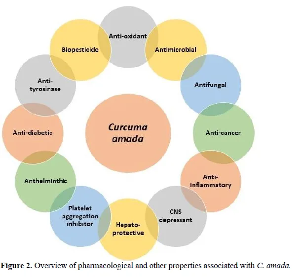 A Review on Phytochemistry and Pharmacological Properties of Curcuma amada (Zingiberaceae) 3 figures