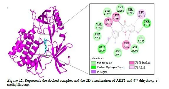 Integrating Network Pharmacology and Molecular Docking to Investigate Boerhavia diffusa for Pancreatic Cancer Treatment 15 figures