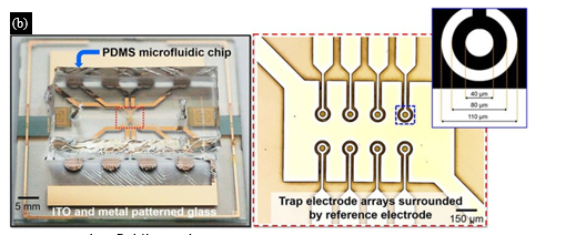Electromechanical Modeling of Microscale Fluidic Systems with Electro Kinetic 2 figures